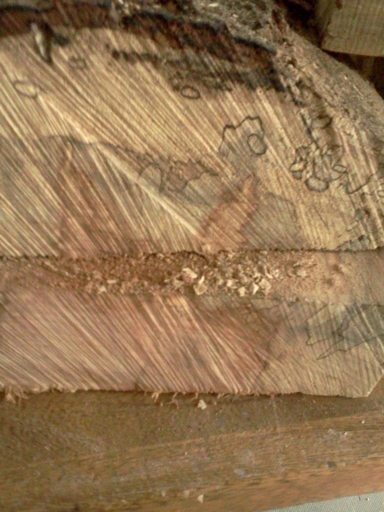 Pecan Wood Blanks